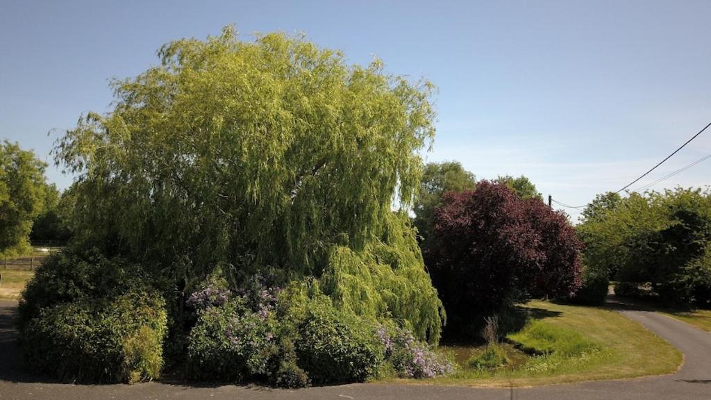 Paddock Barn ~ Short & Long Term Stay, Pets Welcome ~ Woodbridge, Framlingham Ar Cretingham Екстериор снимка